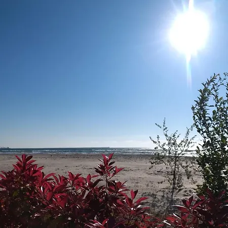 Elysium Seaview - Mamaia Building Ii Năvodari